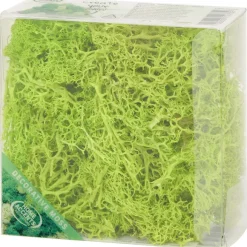 Home Accents Decoratief Mos