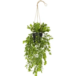 Kunsthangplant