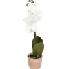 Kunstorchidee In Pot