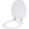 Toiletbril